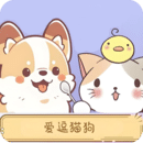 愛逗貓狗