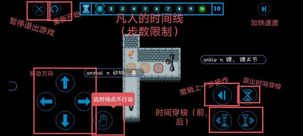 時間之神的貓