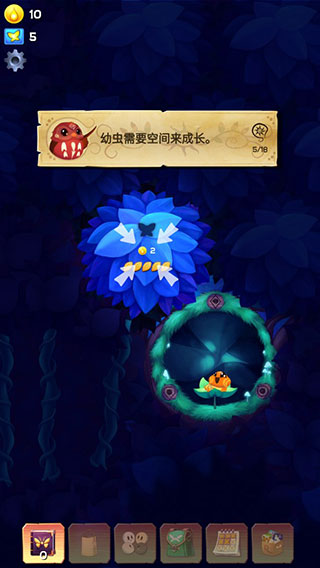 彩翼之星