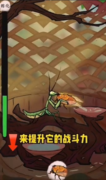 極品螳螂