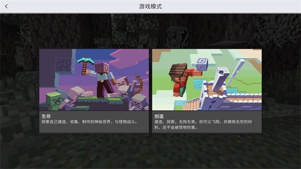 我的世界給官方基巖版