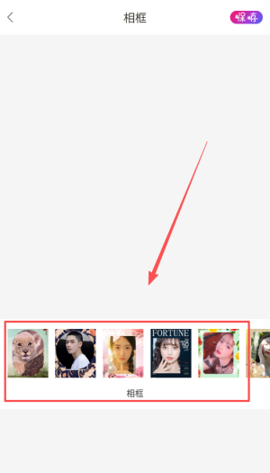 ProMovie專(zhuān)業(yè)攝像機(jī)